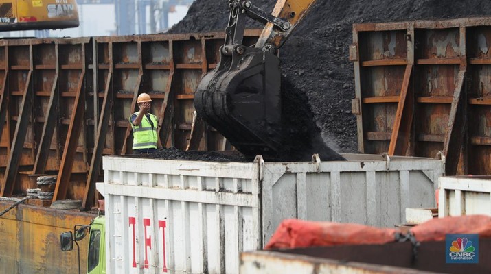 Bongkar Muat Batu Bara Pekerja melakukan bongkar muat batubara di Terminal Tanjung Priok, Jakarta, Kamis (6/1/2022). Pemerintah memutuskan untuk menyetop ekspor batu bara pada 1–31 Januari 2022 guna menjamin terpenuhinya pasokan komoditas tersebut untuk pembangkit listrik tenaga uap (PLTU) milik PLN dan independent power producer (IPP) dalam negeri. Kurangnya pasokan batubara dalam negeri ini akan berdampak kepada lebih dari 10 juta pelanggan PLN, mulai dari masyarakat umum hingga industri, di wilayah Jawa, Madura, Bali (Jamali) dan non-Jamali. (CNBC Indonesia/ Tri Susilo)