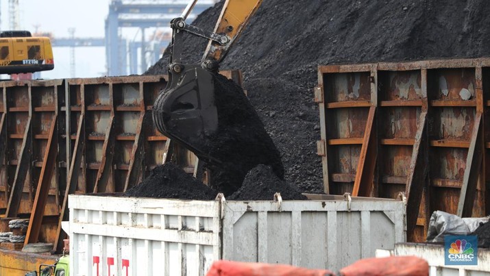 Bongkar Muat Batu Bara Pekerja melakukan bongkar muat batubara di Terminal Tanjung Priok, Jakarta, Kamis (6/1/2022). Pemerintah memutuskan untuk menyetop ekspor batu bara pada 1–31 Januari 2022 guna menjamin terpenuhinya pasokan komoditas tersebut untuk pembangkit listrik tenaga uap (PLTU) milik PLN dan independent power producer (IPP) dalam negeri. Kurangnya pasokan batubara dalam negeri ini akan berdampak kepada lebih dari 10 juta pelanggan PLN, mulai dari masyarakat umum hingga industri, di wilayah Jawa, Madura, Bali (Jamali) dan non-Jamali. (CNBC Indonesia/ Tri Susilo)