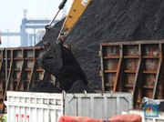 BLU Batu Bara dan Tata Kelola 'Emas Hitam' Kelistrikan