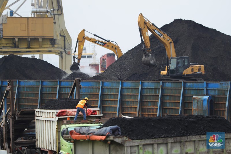 Bongkar Muat Batu Bara Pekerja melakukan bongkar muat batubara di Terminal Tanjung Priok, Jakarta, Kamis (6/1/2022). Pemerintah memutuskan untuk menyetop ekspor batu bara pada 1–31 Januari 2022 guna menjamin terpenuhinya pasokan komoditas tersebut untuk pembangkit listrik tenaga uap (PLTU) milik PLN dan independent power producer (IPP) dalam negeri. Kurangnya pasokan batubara dalam negeri ini akan berdampak kepada lebih dari 10 juta pelanggan PLN, mulai dari masyarakat umum hingga industri, di wilayah Jawa, Madura, Bali (Jamali) dan non-Jamali. (CNBC Indonesia/ Tri Susilo)