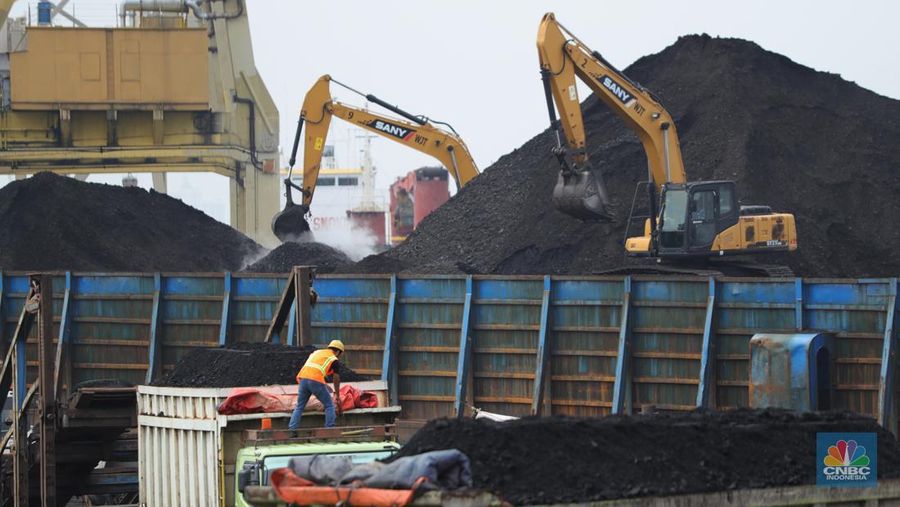 Pekerja melakukan bongkar muat batubara di Terminal Tanjung Priok, Jakarta, Kamis (6/1/2022). Pemerintah memutuskan untuk menyetop ekspor batu bara pada 1–31 Januari 2022 guna menjamin terpenuhinya pasokan komoditas tersebut untuk pembangkit listrik tenaga uap (PLTU) milik PLN dan independent power producer (IPP) dalam negeri. Kurangnya pasokan batubara dalam negeri ini akan berdampak kepada lebih dari 10 juta pelanggan PLN, mulai dari masyarakat umum hingga industri, di wilayah Jawa, Madura, Bali (Jamali) dan non-Jamali. (CNBC Indonesia/ Tri Susilo)