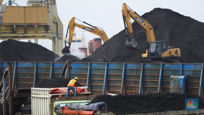 Pekerja melakukan bongkar muat batubara di Terminal Tanjung Priok, Jakarta, Kamis (6/1/2022). Pemerintah memutuskan untuk menyetop ekspor batu bara pada 1–31 Januari 2022 guna menjamin terpenuhinya pasokan komoditas tersebut untuk pembangkit listrik tenaga uap (PLTU) milik PLN dan independent power producer (IPP) dalam negeri. Kurangnya pasokan batubara dalam negeri ini akan berdampak kepada lebih dari 10 juta pelanggan PLN, mulai dari masyarakat umum hingga industri, di wilayah Jawa, Madura, Bali (Jamali) dan non-Jamali. (CNBC Indonesia/ Tri Susilo)