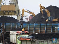 Harga Batu Bara Merana, Sepekan Ambruk 2,6%