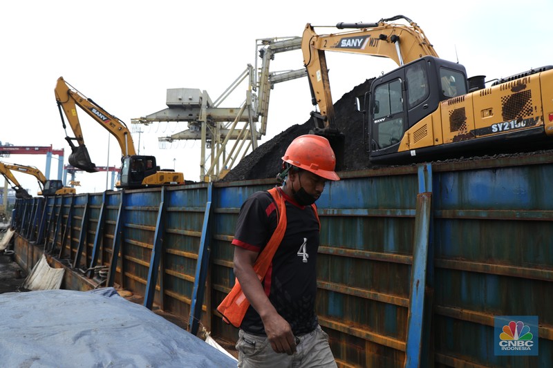 Bongkar Muat Batu Bara Pekerja melakukan bongkar muat batubara di Terminal Tanjung Priok, Jakarta, Kamis (6/1/2022). Pemerintah memutuskan untuk menyetop ekspor batu bara pada 1–31 Januari 2022 guna menjamin terpenuhinya pasokan komoditas tersebut untuk pembangkit listrik tenaga uap (PLTU) milik PLN dan independent power producer (IPP) dalam negeri. Kurangnya pasokan batubara dalam negeri ini akan berdampak kepada lebih dari 10 juta pelanggan PLN, mulai dari masyarakat umum hingga industri, di wilayah Jawa, Madura, Bali (Jamali) dan non-Jamali. (CNBC Indonesia/ Tri Susilo)