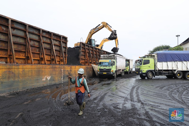 Bongkar Muat Batu Bara Pekerja melakukan bongkar muat batubara di Terminal Tanjung Priok, Jakarta, Kamis (6/1/2022). Pemerintah memutuskan untuk menyetop ekspor batu bara pada 1–31 Januari 2022 guna menjamin terpenuhinya pasokan komoditas tersebut untuk pembangkit listrik tenaga uap (PLTU) milik PLN dan independent power producer (IPP) dalam negeri. Kurangnya pasokan batubara dalam negeri ini akan berdampak kepada lebih dari 10 juta pelanggan PLN, mulai dari masyarakat umum hingga industri, di wilayah Jawa, Madura, Bali (Jamali) dan non-Jamali. (CNBC Indonesia/ Tri Susilo)