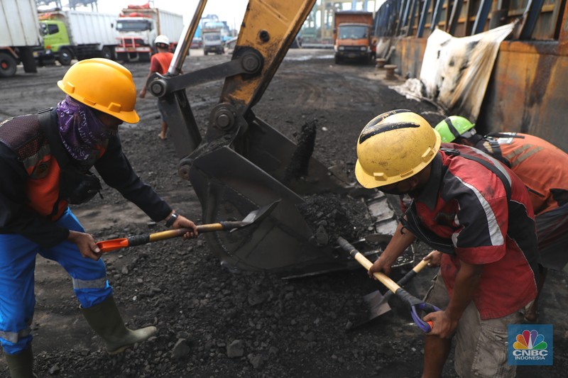 Pekerja melakukan bongkar muat batubara di Terminal Tanjung Priok, Jakarta, Kamis (6/1/2022). Pemerintah memutuskan untuk menyetop ekspor batu bara pada 1–31 Januari 2022 guna menjamin terpenuhinya pasokan komoditas tersebut untuk pembangkit listrik tenaga uap (PLTU) milik PLN dan independent power producer (IPP) dalam negeri. Kurangnya pasokan batubara dalam negeri ini akan berdampak kepada lebih dari 10 juta pelanggan PLN, mulai dari masyarakat umum hingga industri, di wilayah Jawa, Madura, Bali (Jamali) dan non-Jamali. (CNBC Indonesia/ Tri Susilo)