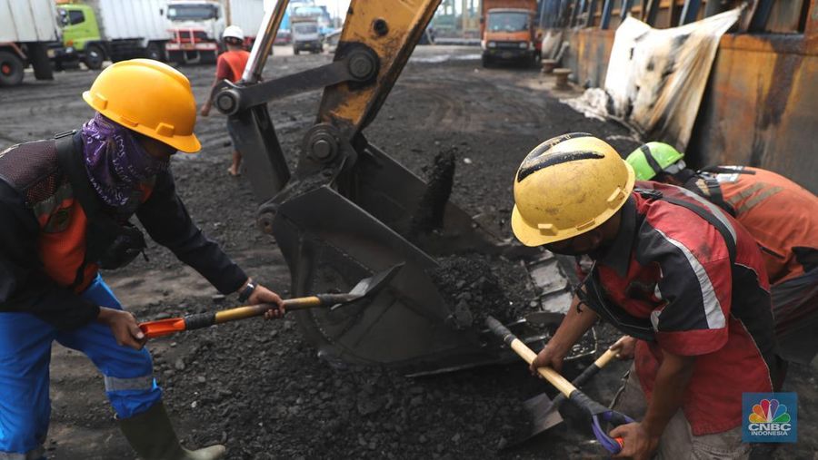 Pekerja melakukan bongkar muat batubara di Terminal Tanjung Priok, Jakarta, Kamis (6/1/2022). Pemerintah memutuskan untuk menyetop ekspor batu bara pada 1–31 Januari 2022 guna menjamin terpenuhinya pasokan komoditas tersebut untuk pembangkit listrik tenaga uap (PLTU) milik PLN dan independent power producer (IPP) dalam negeri. Kurangnya pasokan batubara dalam negeri ini akan berdampak kepada lebih dari 10 juta pelanggan PLN, mulai dari masyarakat umum hingga industri, di wilayah Jawa, Madura, Bali (Jamali) dan non-Jamali. (CNBC Indonesia/ Tri Susilo)