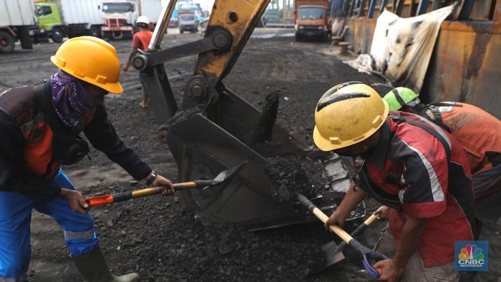 Pekerja melakukan bongkar muat batubara di Terminal Tanjung Priok, Jakarta, Kamis (6/1/2022). Pemerintah memutuskan untuk menyetop ekspor batu bara pada 1–31 Januari 2022 guna menjamin terpenuhinya pasokan komoditas tersebut untuk pembangkit listrik tenaga uap (PLTU) milik PLN dan independent power producer (IPP) dalam negeri. Kurangnya pasokan batubara dalam negeri ini akan berdampak kepada lebih dari 10 juta pelanggan PLN, mulai dari masyarakat umum hingga industri, di wilayah Jawa, Madura, Bali (Jamali) dan non-Jamali. (CNBC Indonesia/ Tri Susilo)