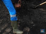 Indonesia Bikin Harga Batu Bara Ambrol 6%!