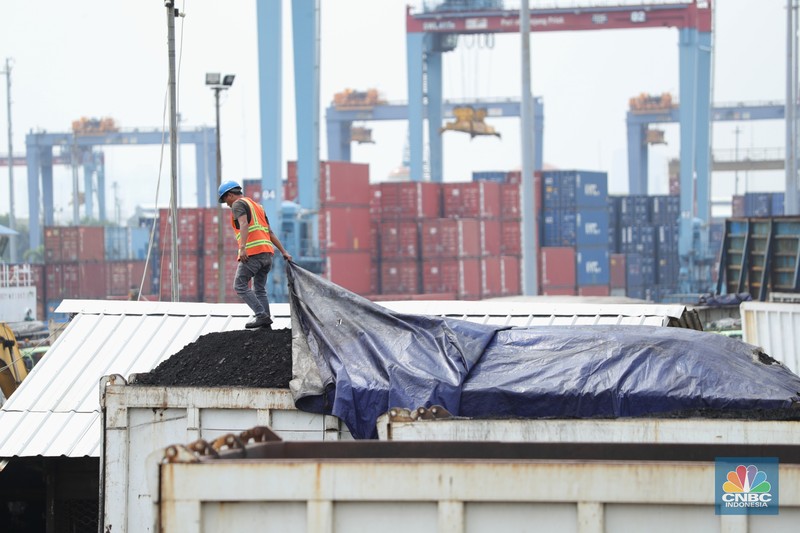 Bongkar Muat Batu Bara Pekerja melakukan bongkar muat batubara di Terminal Tanjung Priok, Jakarta, Kamis (6/1/2022). Pemerintah memutuskan untuk menyetop ekspor batu bara pada 1–31 Januari 2022 guna menjamin terpenuhinya pasokan komoditas tersebut untuk pembangkit listrik tenaga uap (PLTU) milik PLN dan independent power producer (IPP) dalam negeri. Kurangnya pasokan batubara dalam negeri ini akan berdampak kepada lebih dari 10 juta pelanggan PLN, mulai dari masyarakat umum hingga industri, di wilayah Jawa, Madura, Bali (Jamali) dan non-Jamali. (CNBC Indonesia/ Tri Susilo)