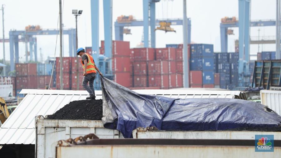 Pekerja melakukan bongkar muat batubara di Terminal Tanjung Priok, Jakarta, Kamis (6/1/2022). Pemerintah memutuskan untuk menyetop ekspor batu bara pada 1–31 Januari 2022 guna menjamin terpenuhinya pasokan komoditas tersebut untuk pembangkit listrik tenaga uap (PLTU) milik PLN dan independent power producer (IPP) dalam negeri. Kurangnya pasokan batubara dalam negeri ini akan berdampak kepada lebih dari 10 juta pelanggan PLN, mulai dari masyarakat umum hingga industri, di wilayah Jawa, Madura, Bali (Jamali) dan non-Jamali. (CNBC Indonesia/ Tri Susilo)