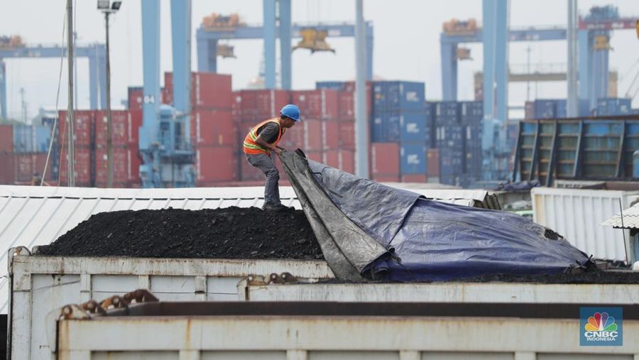 Pekerja melakukan bongkar muat batubara di Terminal Tanjung Priok, Jakarta, Kamis (6/1/2022). Pemerintah memutuskan untuk menyetop ekspor batu bara pada 1–31 Januari 2022 guna menjamin terpenuhinya pasokan komoditas tersebut untuk pembangkit listrik tenaga uap (PLTU) milik PLN dan independent power producer (IPP) dalam negeri. Kurangnya pasokan batubara dalam negeri ini akan berdampak kepada lebih dari 10 juta pelanggan PLN, mulai dari masyarakat umum hingga industri, di wilayah Jawa, Madura, Bali (Jamali) dan non-Jamali. (CNBC Indonesia/ Tri Susilo)