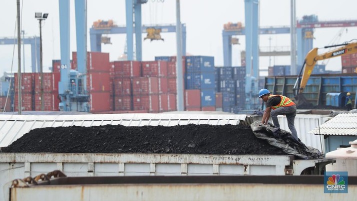 Bongkar Muat Batu Bara Pekerja melakukan bongkar muat batubara di Terminal Tanjung Priok, Jakarta, Kamis (6/1/2022). Pemerintah memutuskan untuk menyetop ekspor batu bara pada 1–31 Januari 2022 guna menjamin terpenuhinya pasokan komoditas tersebut untuk pembangkit listrik tenaga uap (PLTU) milik PLN dan independent power producer (IPP) dalam negeri. Kurangnya pasokan batubara dalam negeri ini akan berdampak kepada lebih dari 10 juta pelanggan PLN, mulai dari masyarakat umum hingga industri, di wilayah Jawa, Madura, Bali (Jamali) dan non-Jamali. (CNBC Indonesia/ Tri Susilo)