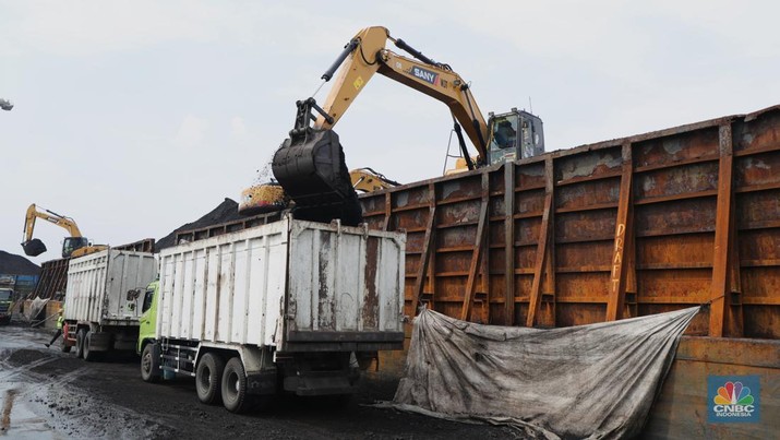 Bongkar Muat Batu Bara Pekerja melakukan bongkar muat batubara di Terminal Tanjung Priok, Jakarta, Kamis (6/1/2022). Pemerintah memutuskan untuk menyetop ekspor batu bara pada 1–31 Januari 2022 guna menjamin terpenuhinya pasokan komoditas tersebut untuk pembangkit listrik tenaga uap (PLTU) milik PLN dan independent power producer (IPP) dalam negeri. Kurangnya pasokan batubara dalam negeri ini akan berdampak kepada lebih dari 10 juta pelanggan PLN, mulai dari masyarakat umum hingga industri, di wilayah Jawa, Madura, Bali (Jamali) dan non-Jamali. (CNBC Indonesia/ Tri Susilo)