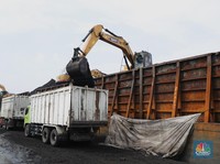 Melesat 3 Hari Beruntun, dalam Seminggu Batu Bara Masih Loyo