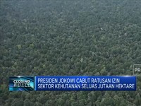 Presiden Jokowi Cabut Ratusan Izin Sektor Kehutanan