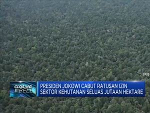 Presiden Jokowi Cabut Ratusan Izin Sektor Kehutanan