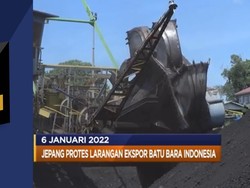 Jokowi Cabut 2.078 IUP, Hingga Pangeran Arab Dikejar Bank