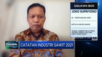 Harga CPO Meroket, Industri Sawit Didorong Genjot Produksi
