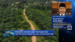 Jokowi Cabut Ratusan Izin Sektor Kehutanan, Ini Alasannya!