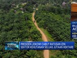 Jokowi Cabut Ratusan Izin Sektor Kehutanan, Ini Alasannya!