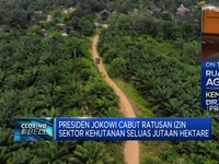 Jokowi Cabut Ratusan Izin Sektor Kehutanan, Ini Alasannya!