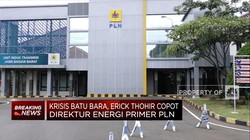 Erick Thohir Copot Direktur Energi Primer PLN