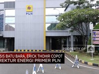 Erick Thohir Copot Direktur Energi Primer PLN