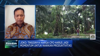 Gapki Proyeksi Produksi CPO RI 2022 Naik 1 Juta Ton