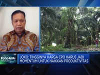 Gapki Proyeksi Produksi CPO RI 2022 Naik 1 Juta Ton