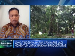 Gapki Proyeksi Produksi CPO RI 2022 Naik 1 Juta Ton