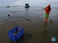 Potret Terkini Pelabuhan Kali Adem Usai Dihantam Banjir Rob