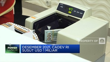 Desember 2021, Cadev RI Susut USD 1 Miliar