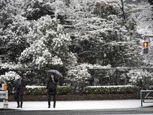 Potret Fenomena Salju Langka di Tokyo