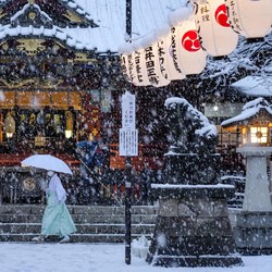 Deretan Pekerjaan Aneh di Jepang, Bisa Digaji Sangat Tinggi
