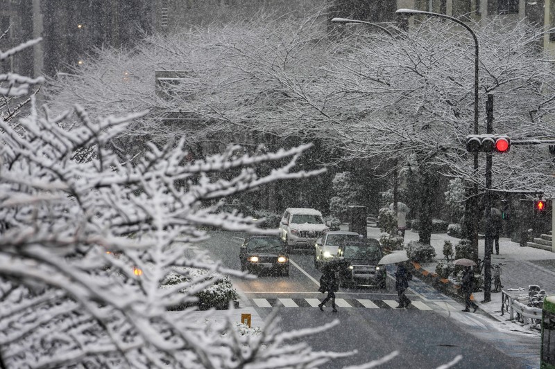 Seseorang mengendarai sepeda saat salju turun di Tokyo, Jepang Kamis (6/1/2022). (AP/Kiichiro Sato)