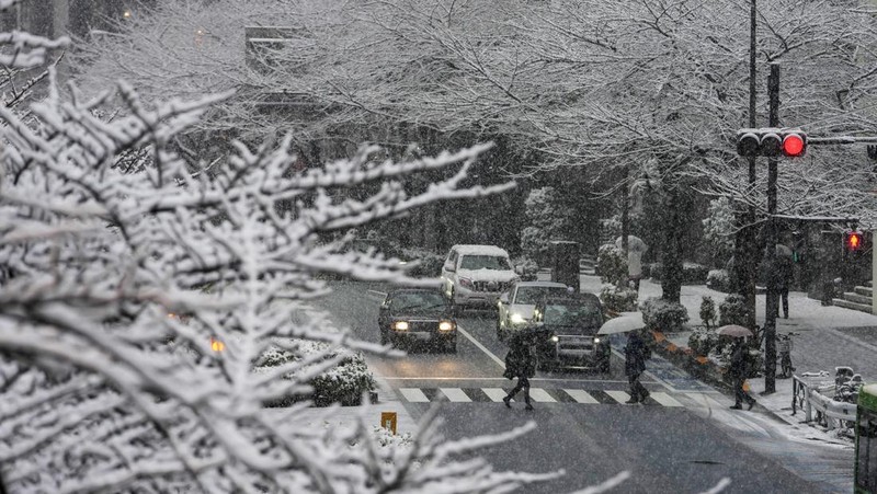 Seseorang mengendarai sepeda saat salju turun di Tokyo, Jepang Kamis (6/1/2022). (AP/Kiichiro Sato)