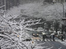 Salju Langka Selimuti Tokyo, Ratusan Penerbangan Batal