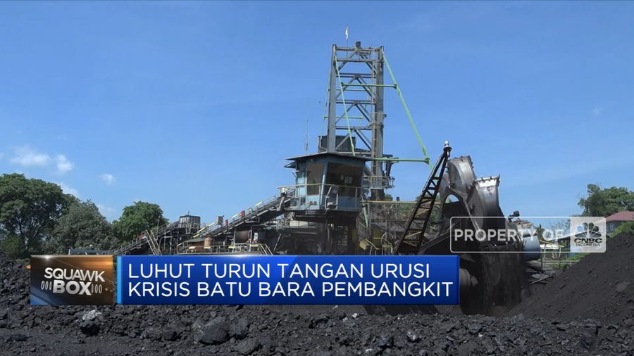 Luhut Turun Tangan Urusi Krisis Batu Bara Pembangkit