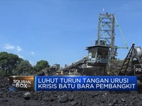 Pakai Skema CIF, PLN Beli Batu Bara Dengan Harga Pasar?