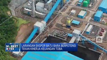 Perusahaan Luhut Terdampak Larangan Ekspor Batu Bara
