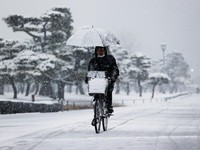 Rupiah Melemah: Ini Hitungan-Hitungan Liburan ke Malaysia & Jepang?