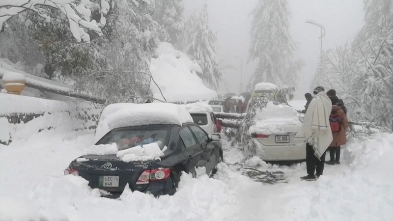Kendaraan terjebak pohon tumbang di jalan bersalju Murree, timur laut Islamabad, Pakistan, Sabtu (8/1/2022). (via REUTERS/ISPR) Kendaraan terjebak pohon tumbang di jalan bersalju Murree, timur laut Islamabad, Pakistan, Sabtu (8/1/2022). (via REUTERS/ISPR)