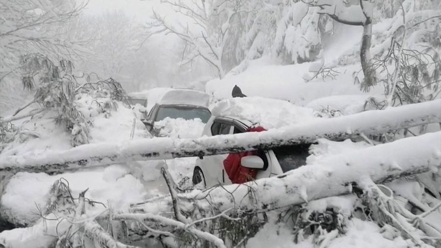 Kendaraan terjebak pohon tumbang di jalan bersalju Murree, timur laut Islamabad, Pakistan, Sabtu (8/1/2022). (via REUTERS/ISPR)
