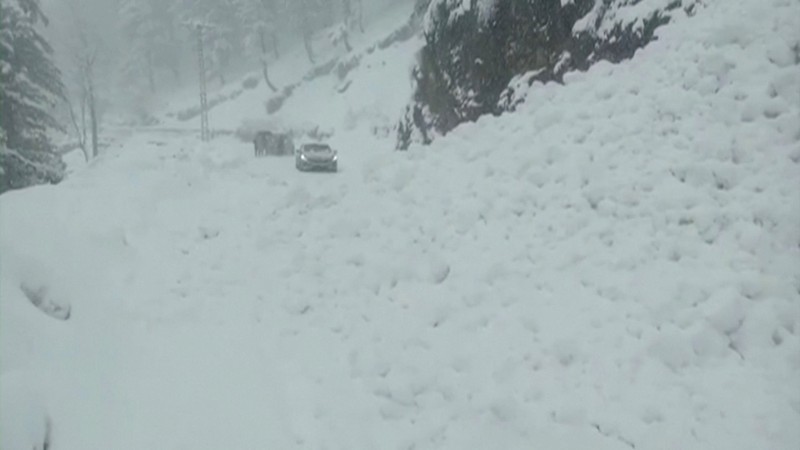 Kendaraan terjebak pohon tumbang di jalan bersalju Murree, timur laut Islamabad, Pakistan, Sabtu (8/1/2022). (via REUTERS/ISPR) Kendaraan terjebak pohon tumbang di jalan bersalju Murree, timur laut Islamabad, Pakistan, Sabtu (8/1/2022). (via REUTERS/ISPR)