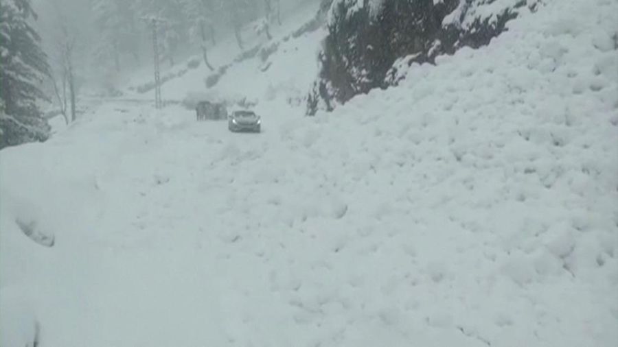 Kendaraan terjebak pohon tumbang di jalan bersalju Murree, timur laut Islamabad, Pakistan, Sabtu (8/1/2022). (via REUTERS/ISPR)