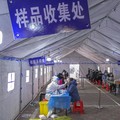 Mengejutkan! Ini Biang Kerok Omicron di China, Bukan Manusia