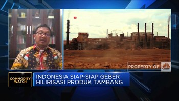 RI Akan Setop Ekspor Bauksit Cs,Pasar Domestik Siap Menyerap?