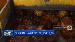 Market Bites: Harga CPO Melesat & Produksi Migor Murah BUMN