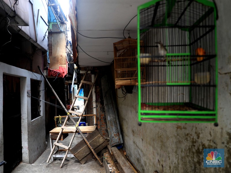 Warga kelurahan Krukut mengikuti uji test Swab Covid-19 di Kawasan RT yang terkena Covid-19 Kelurahan Kerukut, Tamansari, Jakarta, Senin (10/1/2022). (CNBC Indonesia/Muhammad Sabki)
